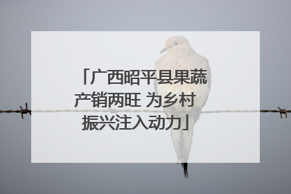 广西昭平县果蔬产销两旺 为乡村振兴注入动力