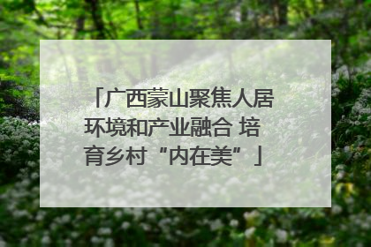 广西蒙山聚焦人居环境和产业融合 培育乡村“内在美”