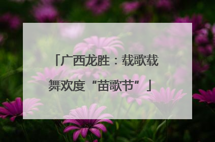 广西龙胜：载歌载舞欢度“苗歌节”
