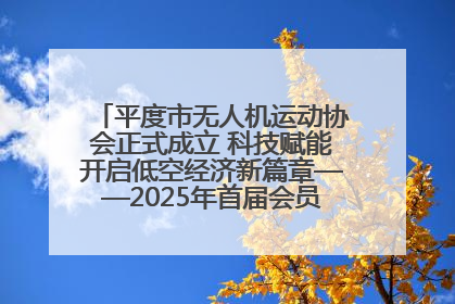平度市无人机运动协会正式成立 科技赋能开启低空经济新篇章——2025年首届会员大会暨无人机应用发展论坛成功举办