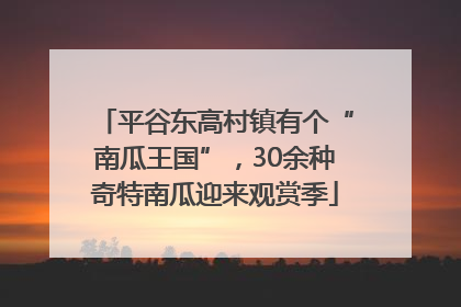 平谷东高村镇有个“南瓜王国”，30余种奇特南瓜迎来观赏季