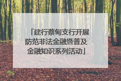 建行蔡甸支行开展防范非法金融暨普及金融知识系列活动