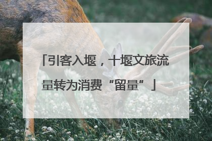 引客入堰，十堰文旅流量转为消费“留量”