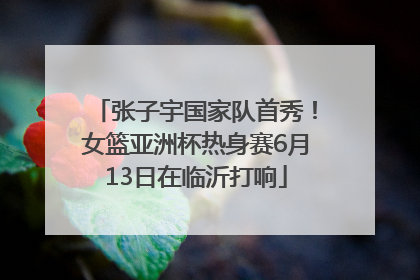 张子宇国家队首秀！女篮亚洲杯热身赛6月13日在临沂打响