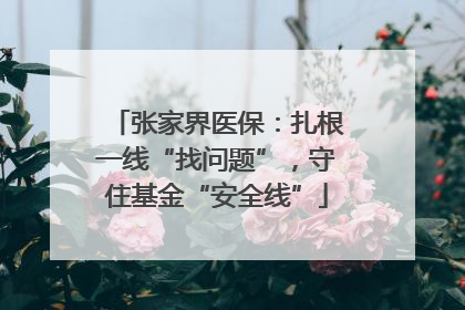 张家界医保：扎根一线“找问题”，守住基金“安全线”