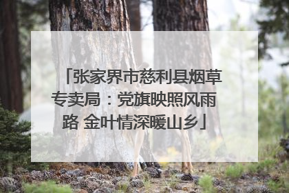 张家界市慈利县烟草专卖局：党旗映照风雨路 金叶情深暖山乡