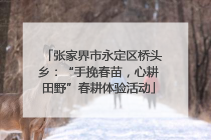 张家界市永定区桥头乡：“手挽春苗，心耕田野”春耕体验活动