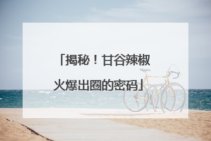揭秘！甘谷辣椒火爆出圈的密码
