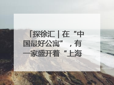 探徐汇｜在“中国最好公寓”，有一家盛开着“上海玫瑰”的书店