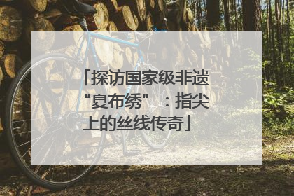 探访国家级非遗“夏布绣”：指尖上的丝线传奇