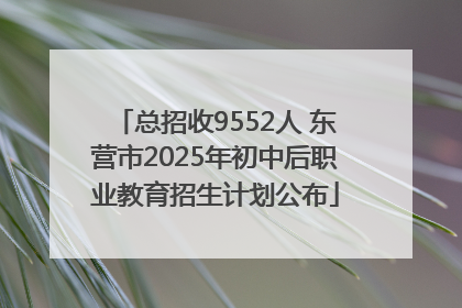 总招收9552人 东营市2025年初中后职业教育招生计划公布