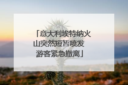意大利埃特纳火山突然短暂喷发 游客紧急撤离