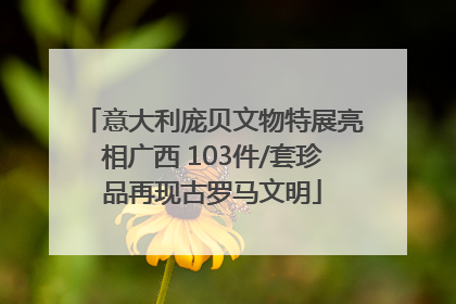 意大利庞贝文物特展亮相广西 103件/套珍品再现古罗马文明