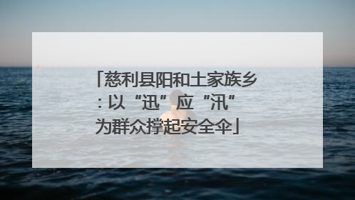 慈利县阳和土家族乡：以“迅”应“汛” 为群众撑起安全伞