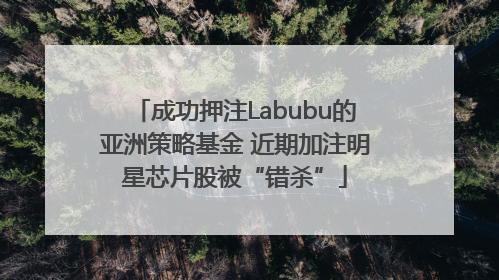 成功押注Labubu的亚洲策略基金 近期加注明星芯片股被“错杀”