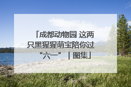 成都动物园 这两只黑猩猩萌宝陪你过“六一”｜图集