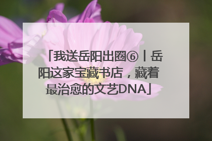 我送岳阳出圈⑥丨岳阳这家宝藏书店，藏着最治愈的文艺DNA