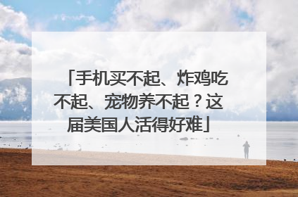 手机买不起、炸鸡吃不起、宠物养不起？这届美国人活得好难