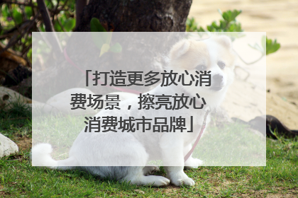 打造更多放心消费场景，擦亮放心消费城市品牌