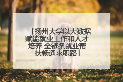 扬州大学以大数据赋能就业工作和人才培养 全链条就业帮扶畅通求职路