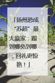 扬州恐成“苏超”最大赢家：踢到哪免到哪，回礼更惊艳！