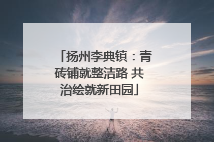 扬州李典镇：青砖铺就整洁路 共治绘就新田园