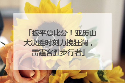 扳平总比分！亚历山大决胜时刻力挽狂澜，雷霆客胜步行者
