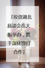 投资湖北恳谈会在大阪举办，携手深化鄂日合作