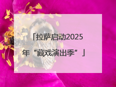 拉萨启动2025年“藏戏演出季”