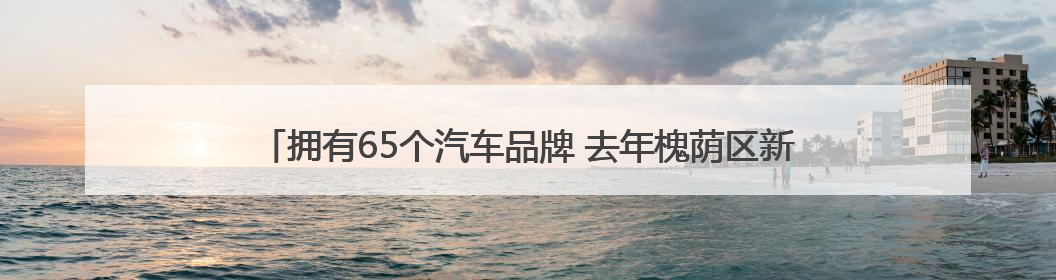 拥有65个汽车品牌 去年槐荫区新能源汽车销售额达113.9亿元