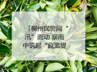 柳州民警闻“汛”而动 暴雨中筑起“藏蓝堤坝”护民安