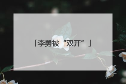 李勇被“双开”