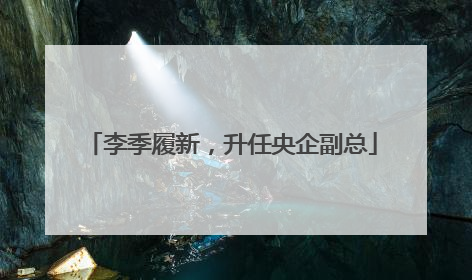 李季履新，升任央企副总