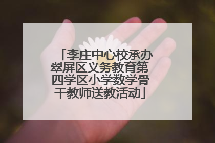 李庄中心校承办翠屏区义务教育第四学区小学数学骨干教师送教活动