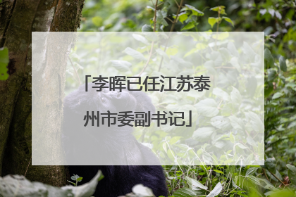 李晖已任江苏泰州市委副书记