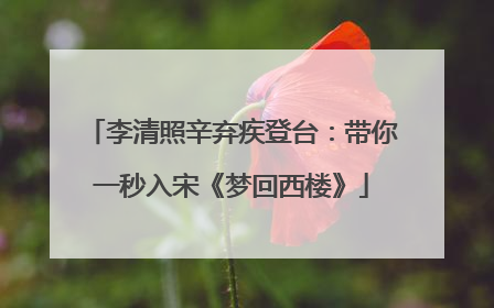 李清照辛弃疾登台：带你一秒入宋《梦回西楼》