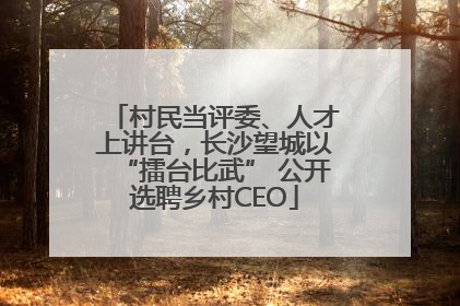 村民当评委、人才上讲台，长沙望城以“擂台比武” 公开选聘乡村CEO