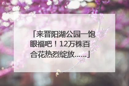 来晋阳湖公园一饱眼福吧！12万株百合花热烈绽放……