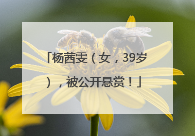 杨茜雯（女，39岁），被公开悬赏！