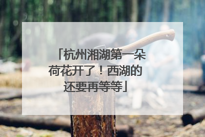 杭州湘湖第一朵荷花开了！西湖的还要再等等