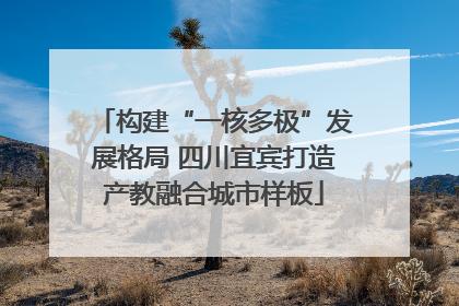 构建“一核多极”发展格局 四川宜宾打造产教融合城市样板