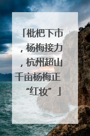 枇杷下市，杨梅接力，杭州超山千亩杨梅正“红妆”