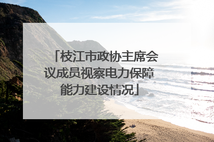 枝江市政协主席会议成员视察电力保障能力建设情况