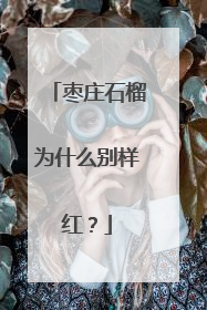 枣庄石榴为什么别样红？