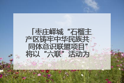 枣庄峄城“石榴主产区铸牢中华民族共同体意识联盟项目”将以“六联”活动为抓手深化品牌建设