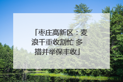 枣庄高新区：麦浪千重收割忙 多措并举保丰收