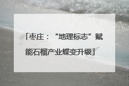 枣庄：“地理标志”赋能石榴产业蝶变升级