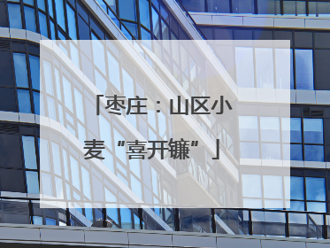 枣庄：山区小麦“喜开镰”