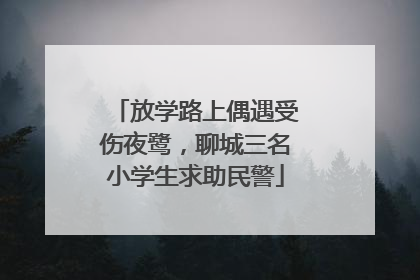 放学路上偶遇受伤夜鹭，聊城三名小学生求助民警