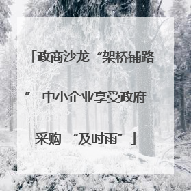 政商沙龙“架桥铺路” 中小企业享受政府采购 “及时雨”